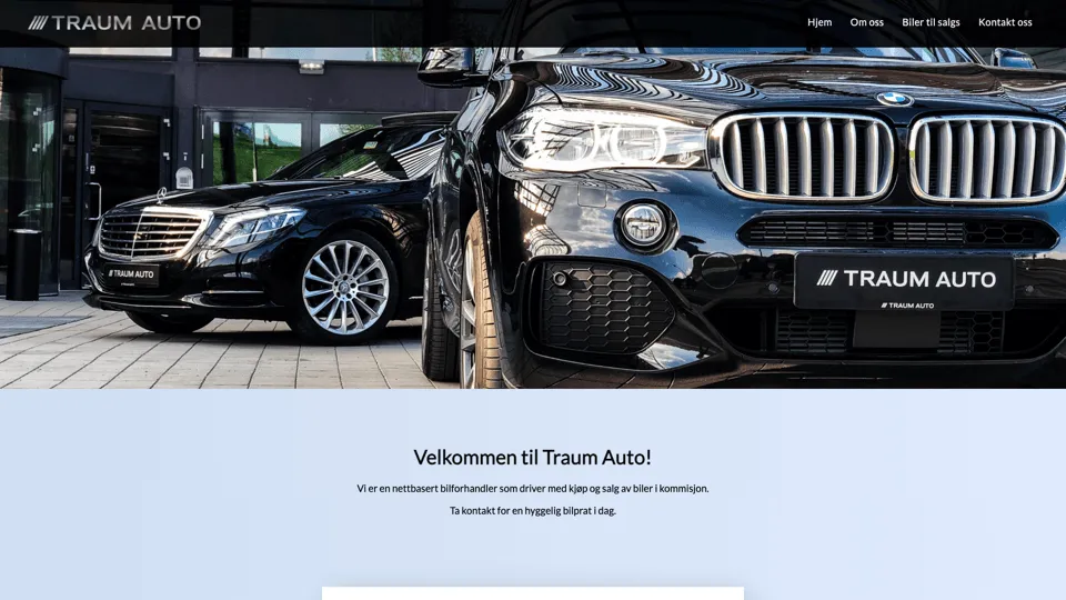Skjermbilde av Traum Auto